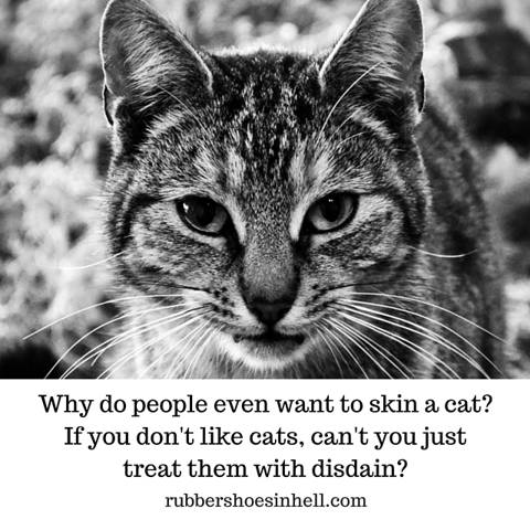 Why do people even want to skin a cat-If you don’t like cats, can’t you ...